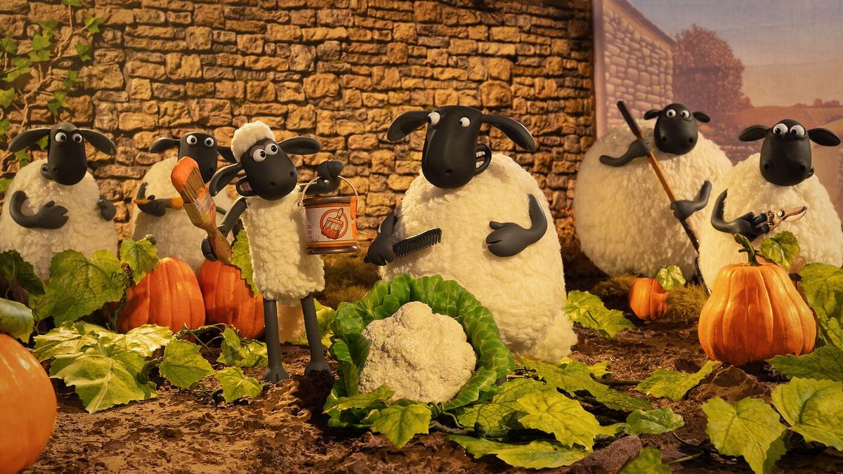 shaun