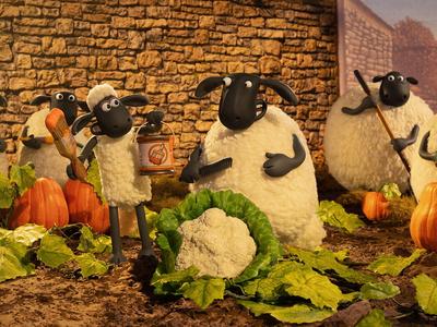 shaun